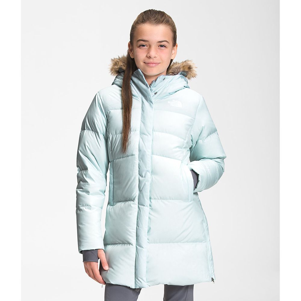 The North Face Parka Girls Australia - The North Face Dealio Fitted Blue (GJB-072316)